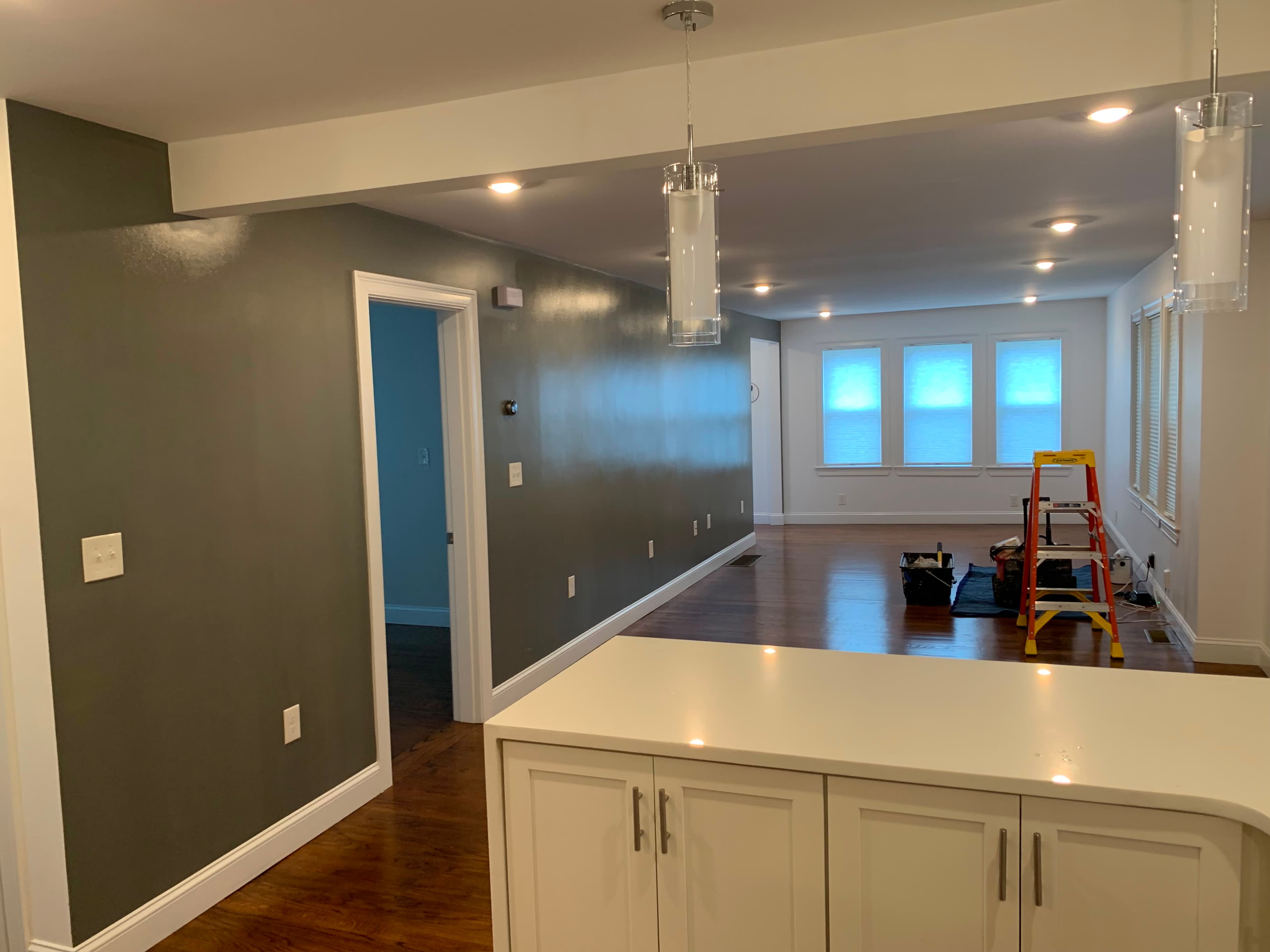 Professional Painting